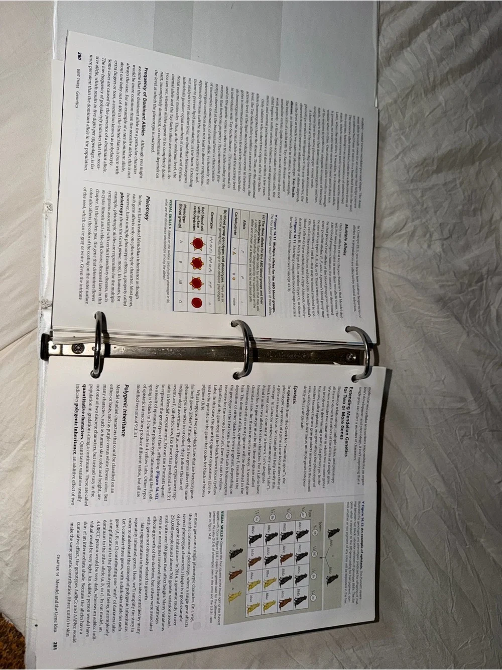 Campbell Biology (11th edition) - Paperback by Lisa A. Urry [binder included]